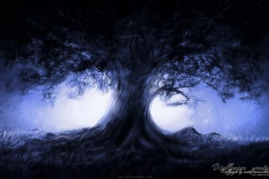 Wallpapers The Dark Wizard Nature Full Moon Art Nigth 1680x1050 ...