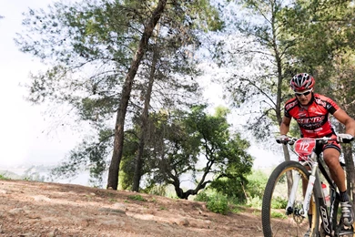 Wallpapers Felt Bicycles