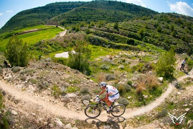 Wallpapers   Felt Bicycles