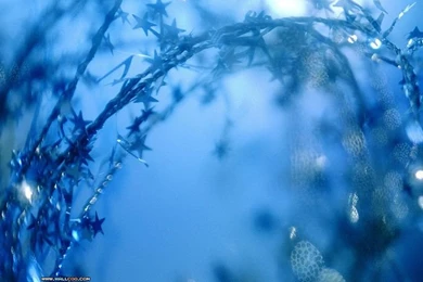 Elegant Christmas Decorations Wallpapers   Wallcoo.net