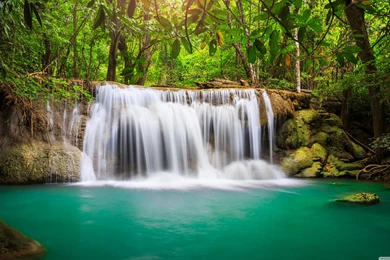 Rainforest Waterfall HD Desktop Wallpapers : Widescreen : High ...