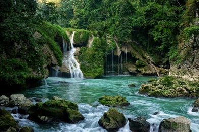 Free Forest Waterfall Wallpapers