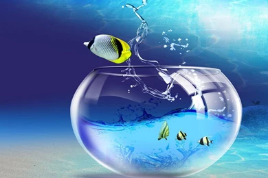 Free Backgrounds For Windows 7   Wallpapers Cave