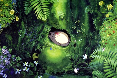 51 My Neighbor Totoro HD Wallpapers
