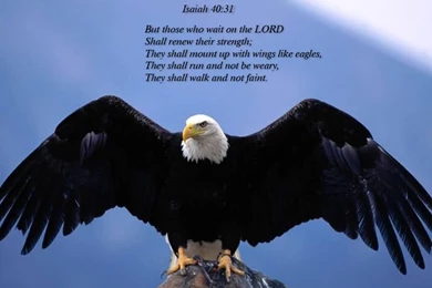 I Love King Jesus: Hd Christian Wallpapers   Google Search ...