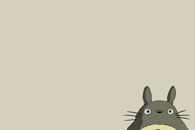Totoro On Pinterest
