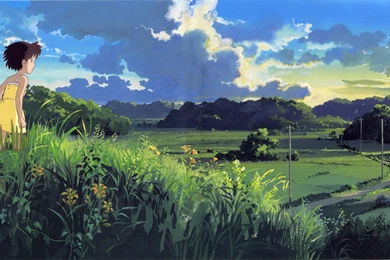 Totoro Anime Wallpapers