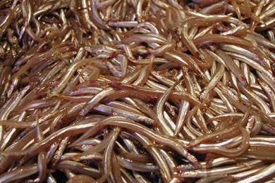 Wallpaper: 'Barca's Market 3'   Detail Of The Merchandise Of A ...