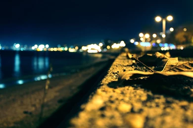 Download Free 100 Photography Wallpapers