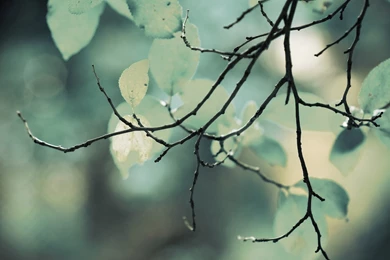 Photography Wallpapers Page 26   (