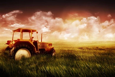 Wallpapers: Photography Wallpapers