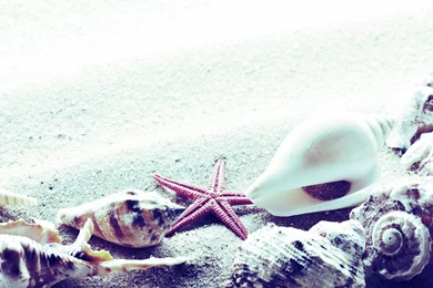 Photography Wallpapers