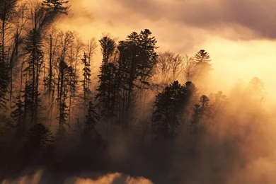 Photography Wallpapers For Free   Top Wallpapers Desktop