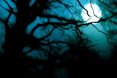 Best Backgrounds Elegant Y35DJ   WALLEO.CO   WALLEO.CO