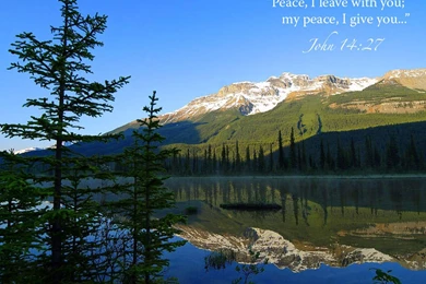 Psalms 56:11a & 3 Wallpapers Christian Wallpapers And Backgrounds