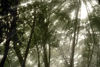 Landscape wallpapers