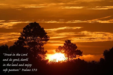 Download HD New Year 2016 Bible Verse Greetings Card & Wallpapers ...