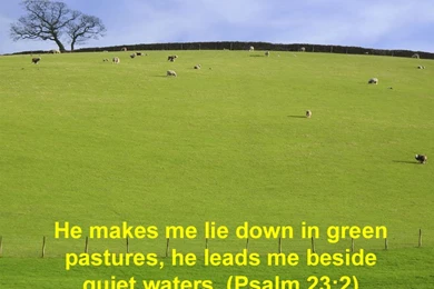 Artistic Bible Quotes Christian Verse Free