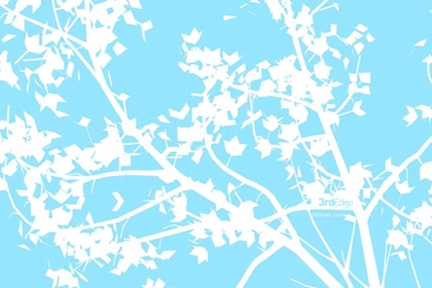 1280x1024 White Branch On Blue Desktop PC And Mac Wallpapers