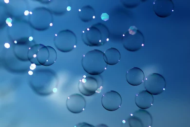 Best Pictures For Desktop Backgrounds   Wallpapers High Definition