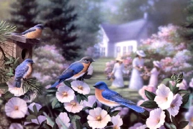 Spring Day Wallpapers   Crazy Frankenstein