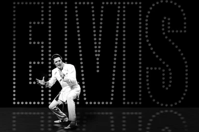 Elvis Wallpapers » Blog Archive » Elvis Name Reflections ...