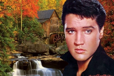 Free Elvis Wallpapers   Wallpapers Cave