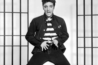 Elvis Presley Rock Men Fy Wallpapers