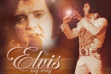 Animaatjes Elvis 62773 Wallpapers