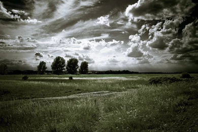Download Wallpapers 3840x2400 Landscape, Black and white, Trees ...