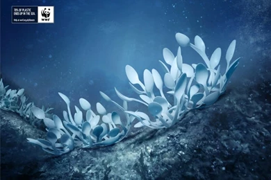 Nature,plastic Nature Plastic World Wildlife Fund Environment ...