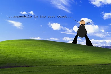 Funny Windows Bliss Miscellaneous Images : Full HD Desktop ...