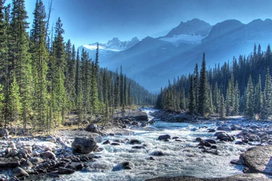 Free Portland Wallpapers