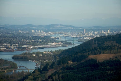 Guide To Dog Training In Portland