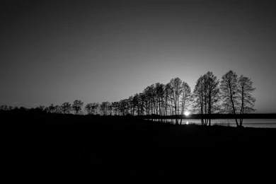 Nature & Landscape Black And White Sunset Silhouette Wallpapers ...