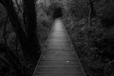 Black Landscape Photography Wallpaper, HD Wallpapers Downloads