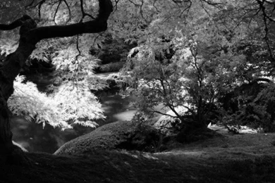 Cropped 1920×1080 black and white scenic landscape wallpaper hd ...
