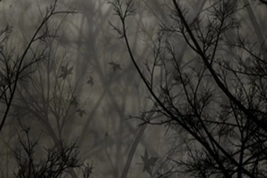 Dark Forest iPhone Wallpapers, iPhone 5(s)/4(s)/3G Wallpapers