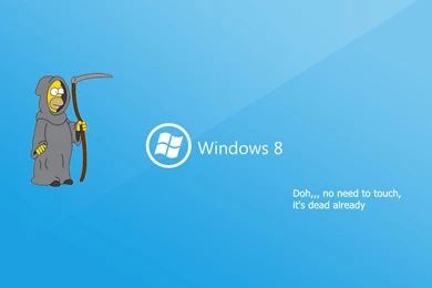 FUNNY WINDOWS 8 WALLPAPER   (