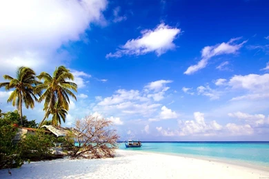 Beautiful Wallpapers Free Download