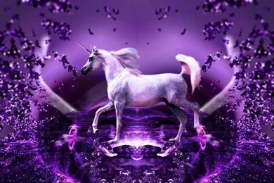 Unicorn Pictures