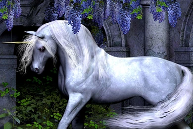 Unicorn Wallpapers 204
