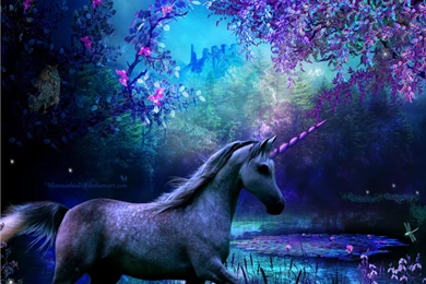 Unicorn Wallpapers