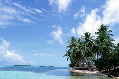 Free Wallpapers For Desktop Collection (31+)