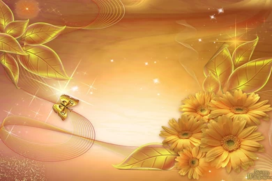 Gold Backgrounds Wallpapers