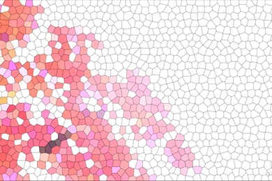 Beautiful Yoga Bliss Backgrounds And Wallpapers   Free 1920 X 1080