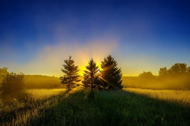 Backgrounds Hd Desktop