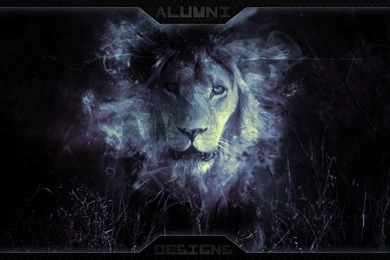 Lion Backgrounds Pictures   Wallpapers Zone