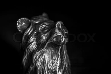 Bronze Head Of A Lion On A Black Backgrounds