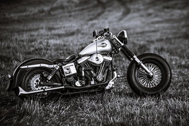 Harley Davidson Classic Old Motorcycles Speed Style Fields Nature ...